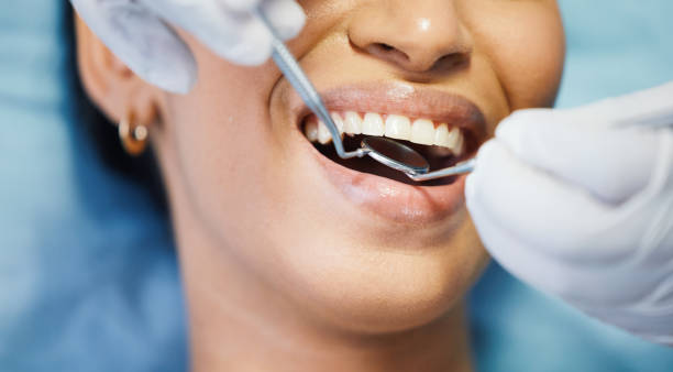 Best Emergency X-Rays and Diagnostics in Dupont, WA